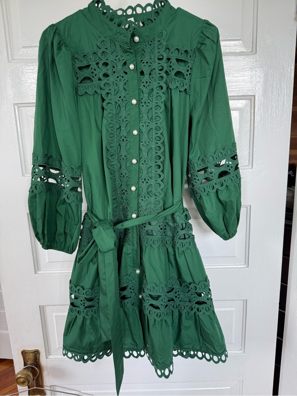 ENTRO Green Long Sleeve Lace-Trim pearl Button Front Dress - Picture 5 of 10